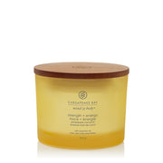 Chesapeake Bay Candle Strength & Energy (Pineapple Coconut)