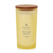 Chesapeake Bay Candle Strength & Energy (Pineapple Coconut)