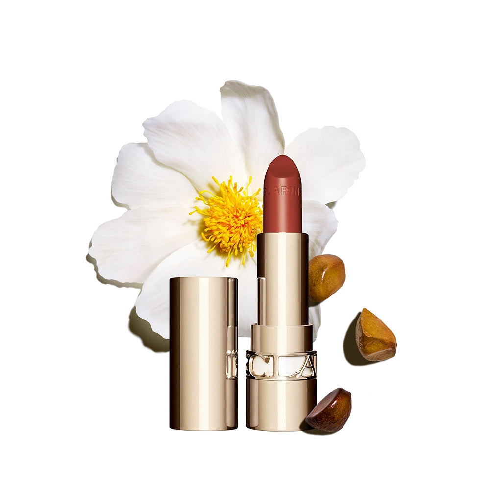 Clarins Joli Rouge 737 Spicy Cinnamon-2