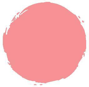 Clinique Blushing Blush 110 Precious Posy-2