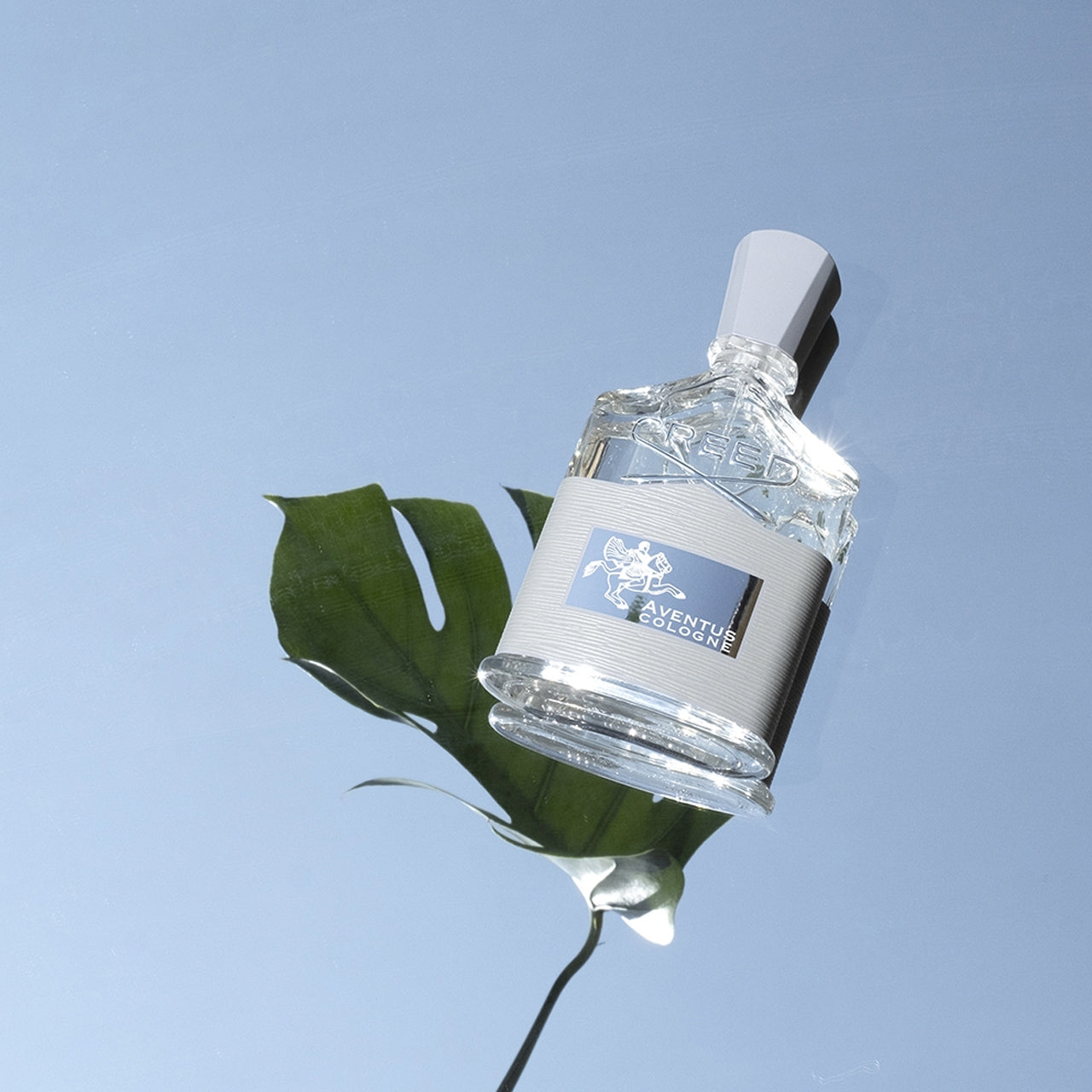 Creed Aventus Cologne Millesime-3