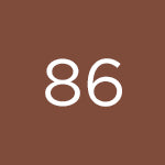 DIEGO DALLA PALMA MILANO Fullface Slim Stick 86 Chestnut-3