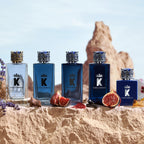 DOLCE&GABBANA K Elixir -7