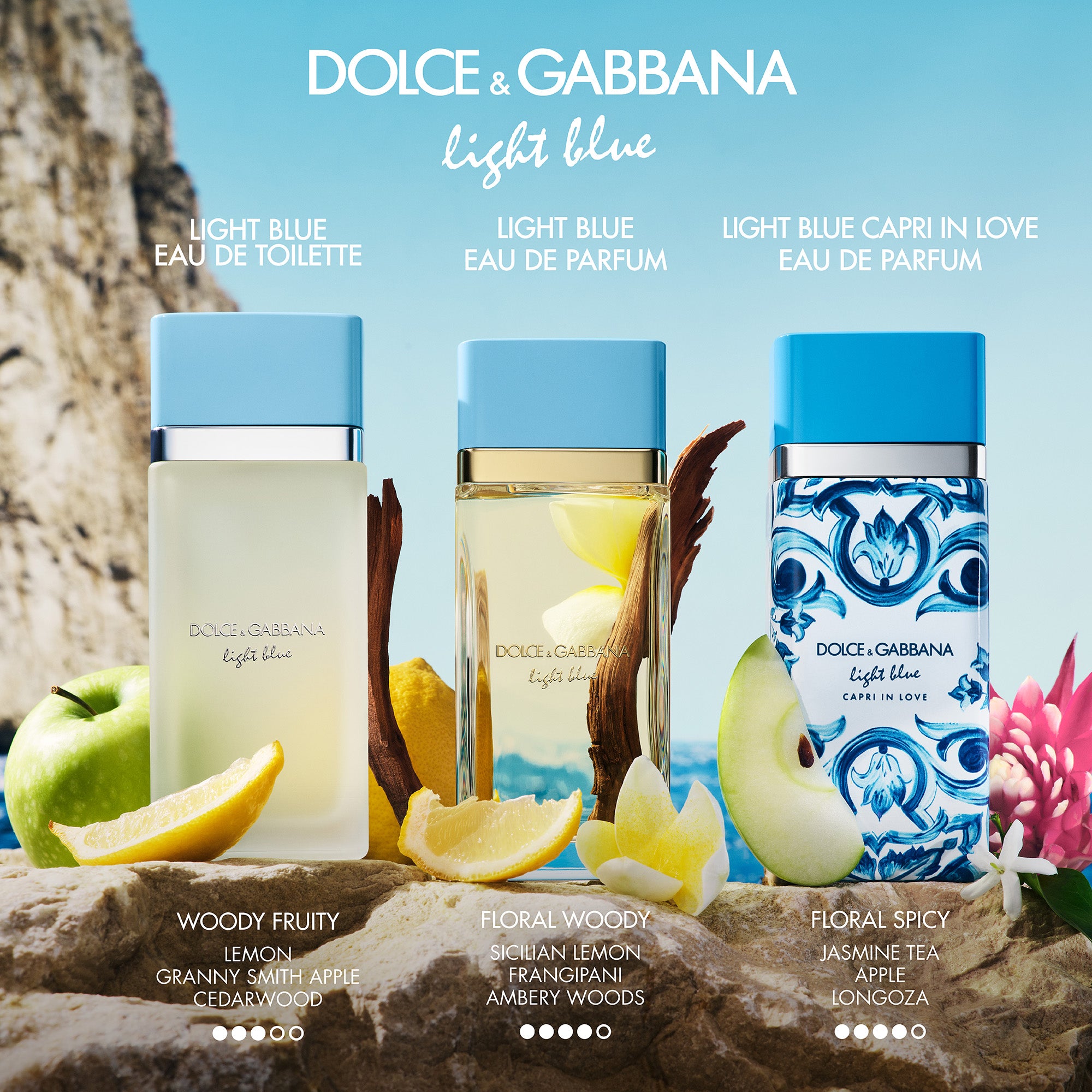 DOLCE&GABBANA Light Blue -7