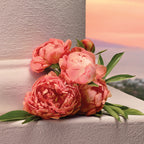 DOLCE&GABBANA My Devotion -5