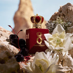 DOLCE&GABBANA Q Elixir -3