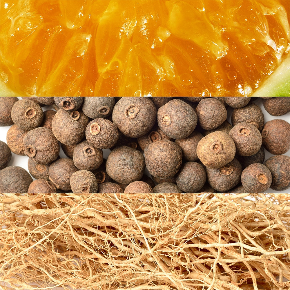 Davidoff Adventure-3