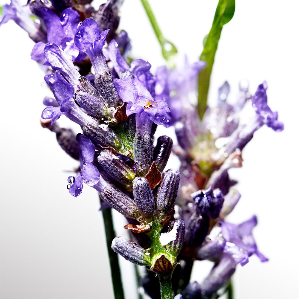 Davidoff Cool Water-5