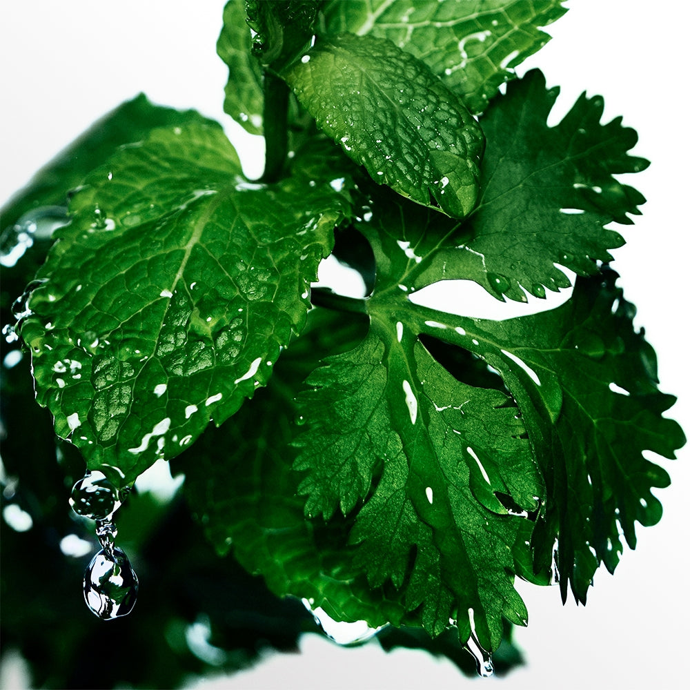 Davidoff Cool Water-8