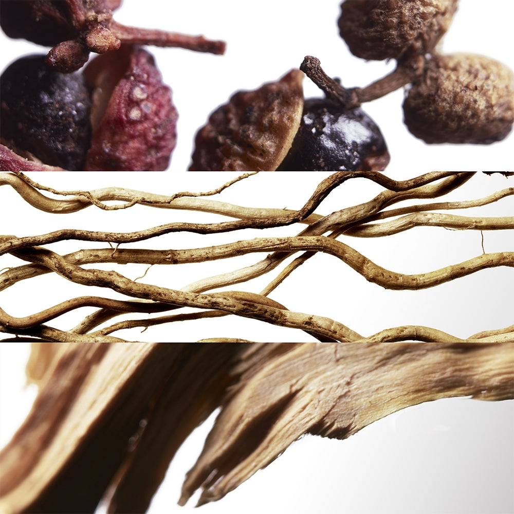 Davidoff Cool Water Parfum-5