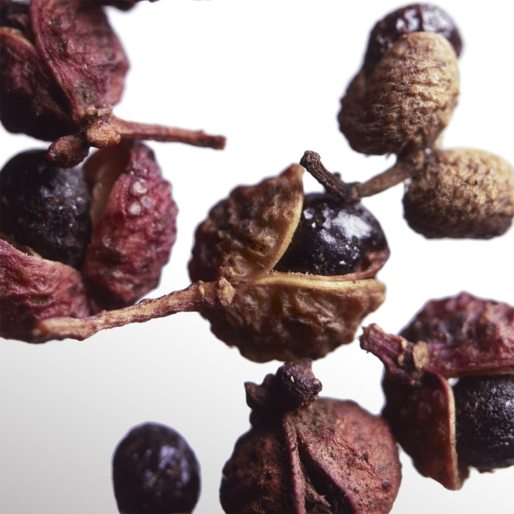 Davidoff Cool Water Parfum-7