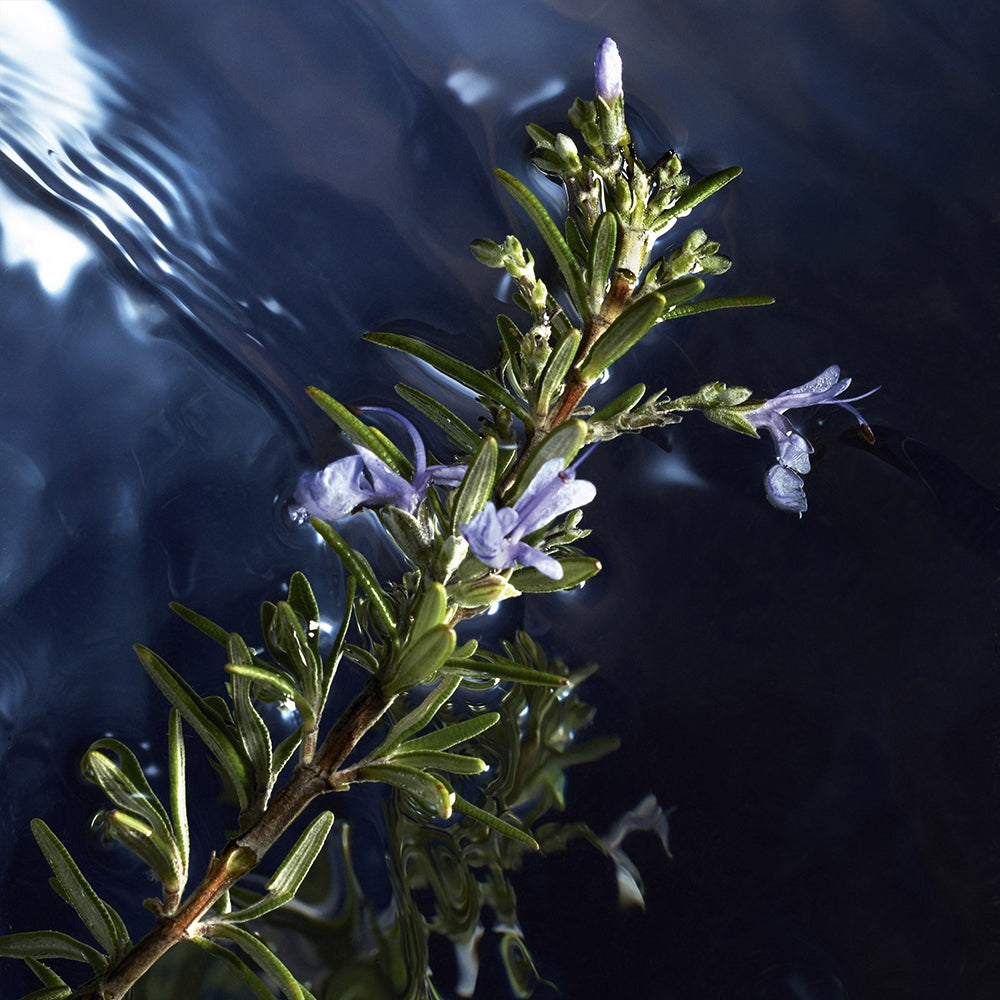 Davidoff Cool Water Reborn-6
