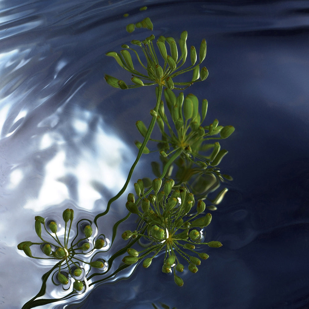 Davidoff Cool Water Reborn-7