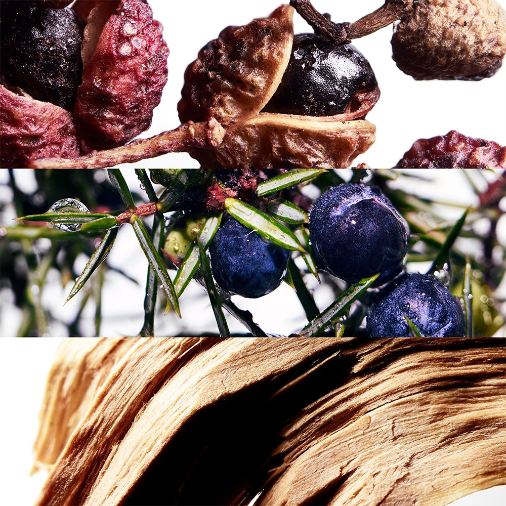 Davidoff WATER WAVE-5