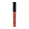 Deborah Fluid Velvet Mat Lipstick 22 Terracotta