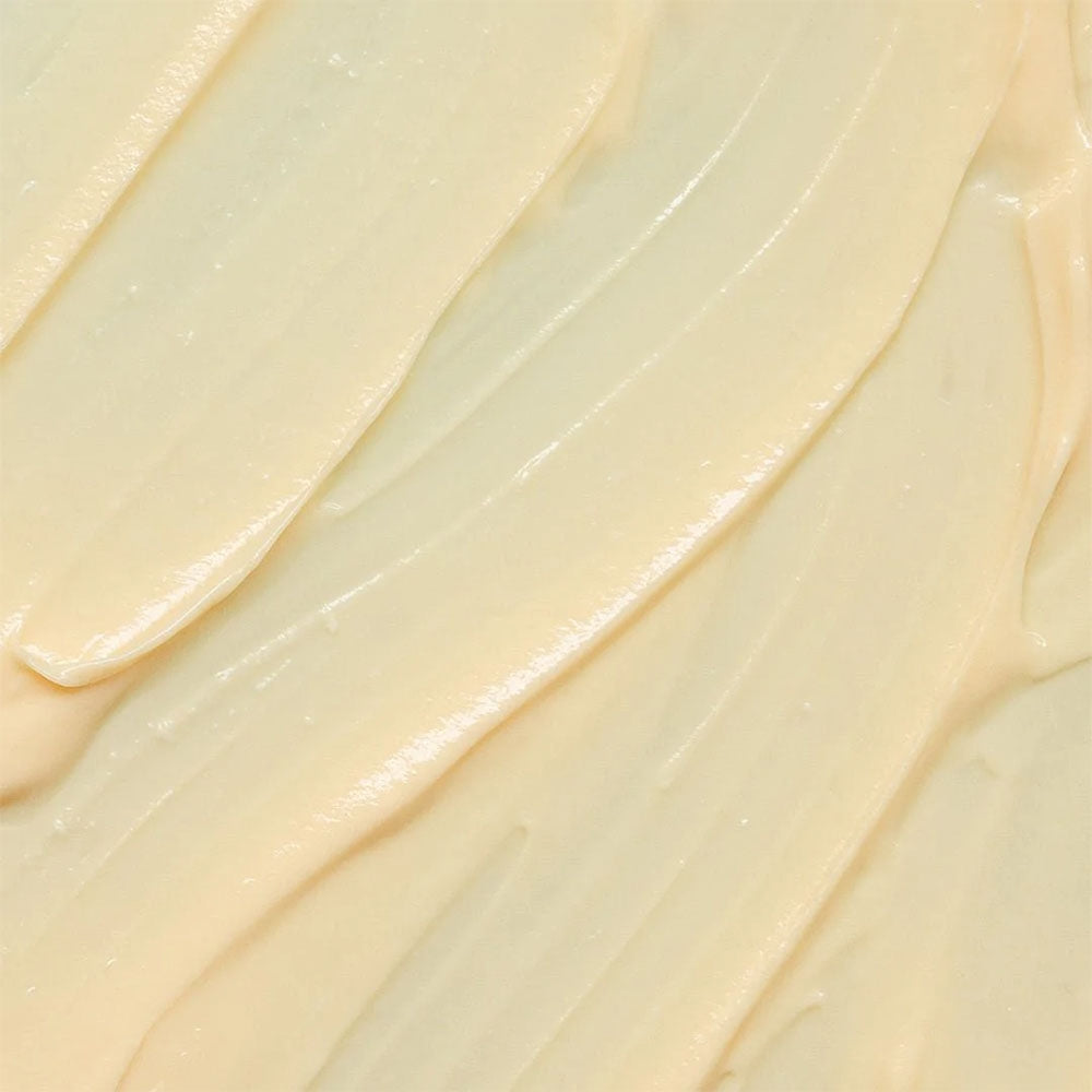 Dermalogica MultiVitamin Power Recovery Masque-2