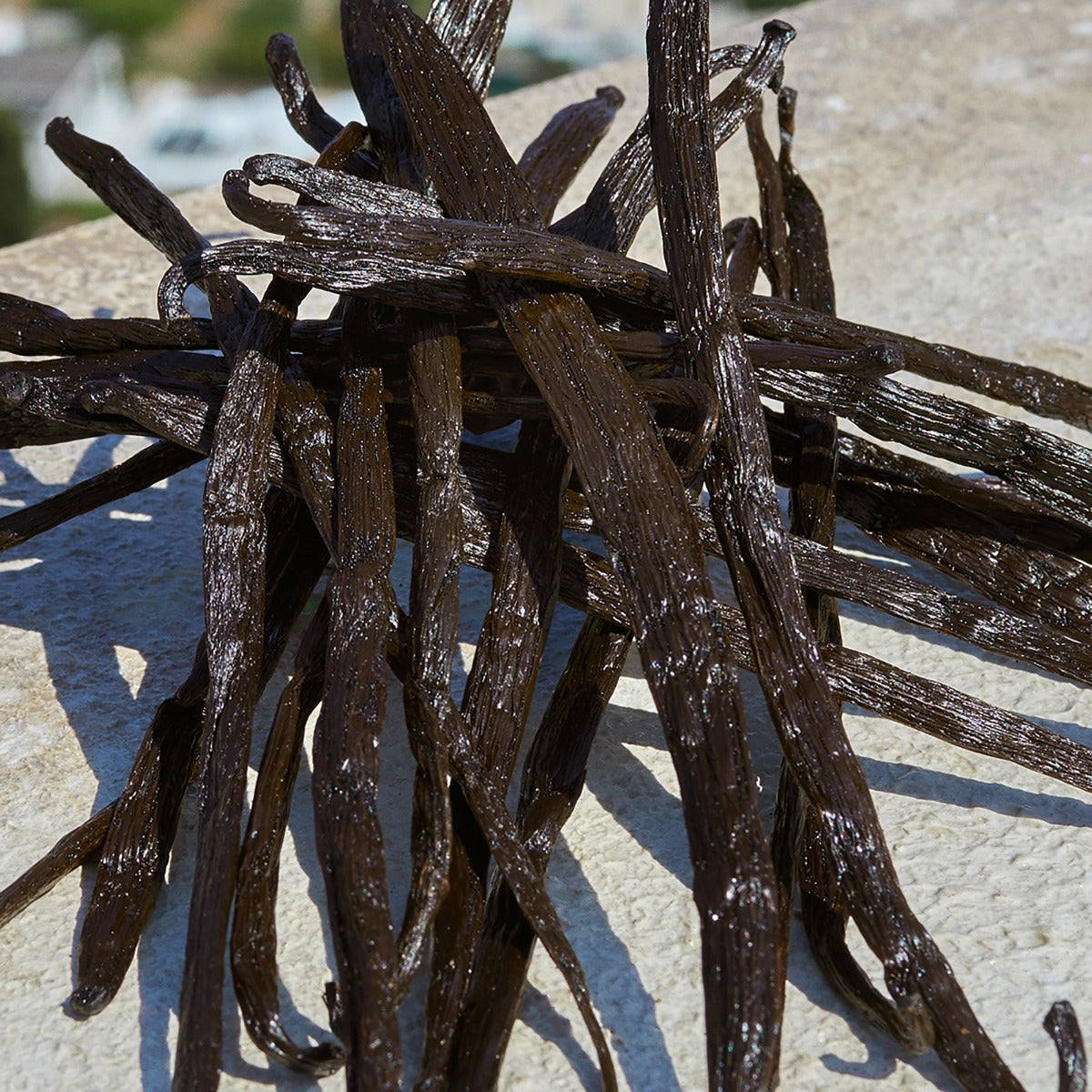 Dolce&Gabbana Devotion-5