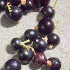 Dolce&Gabbana Dolce Violet-4