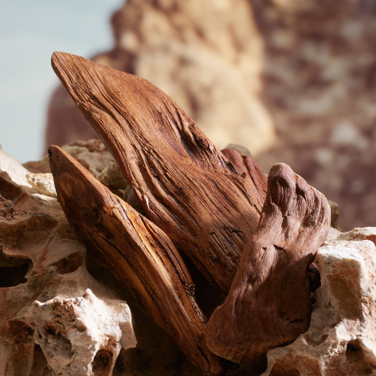 Dolce&Gabbana K by Dolce&Gabbana Parfum-5