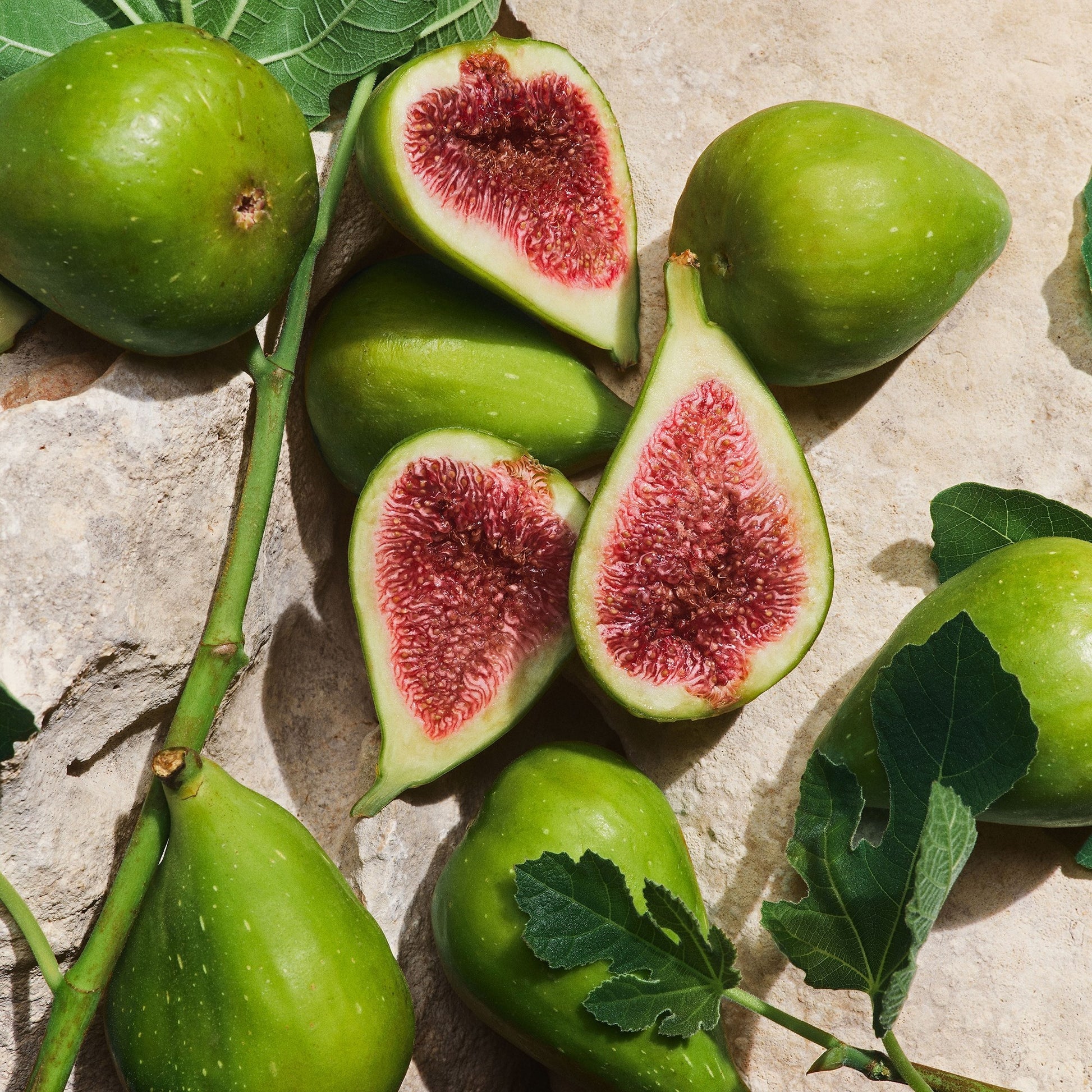 Dolce&Gabbana Light Blue Capri In Love Pour Homme-4