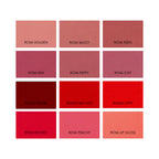 ECHARME Lip Plumper Rosa Lip Gloss-3