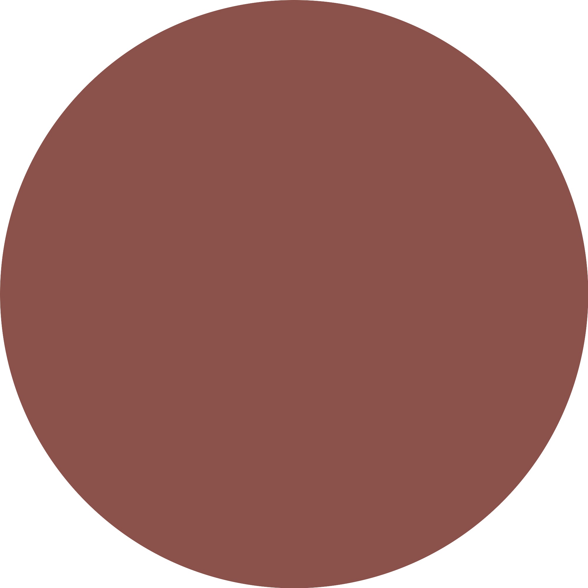ESSENCE Blur Souffle’ 02 Spice Filter-4