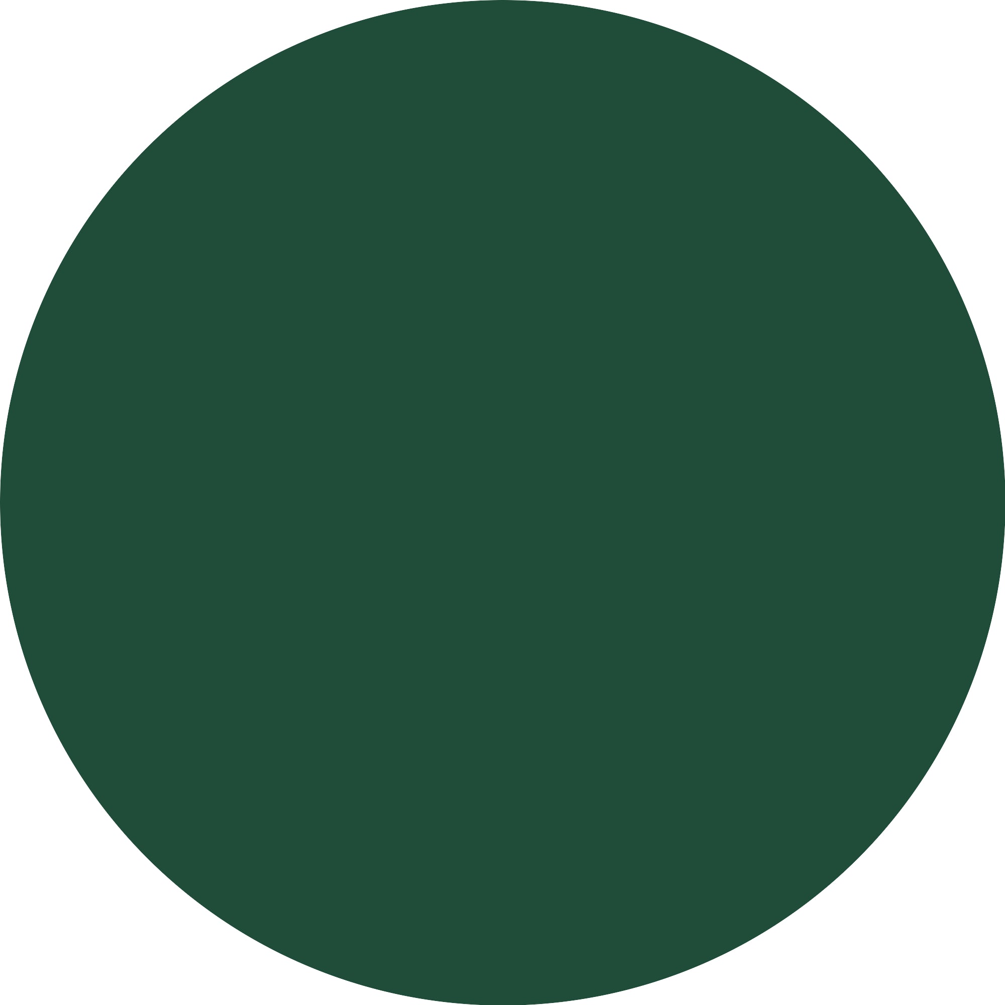 ESSENCE Gel Nail 13 Emerald Energy-3