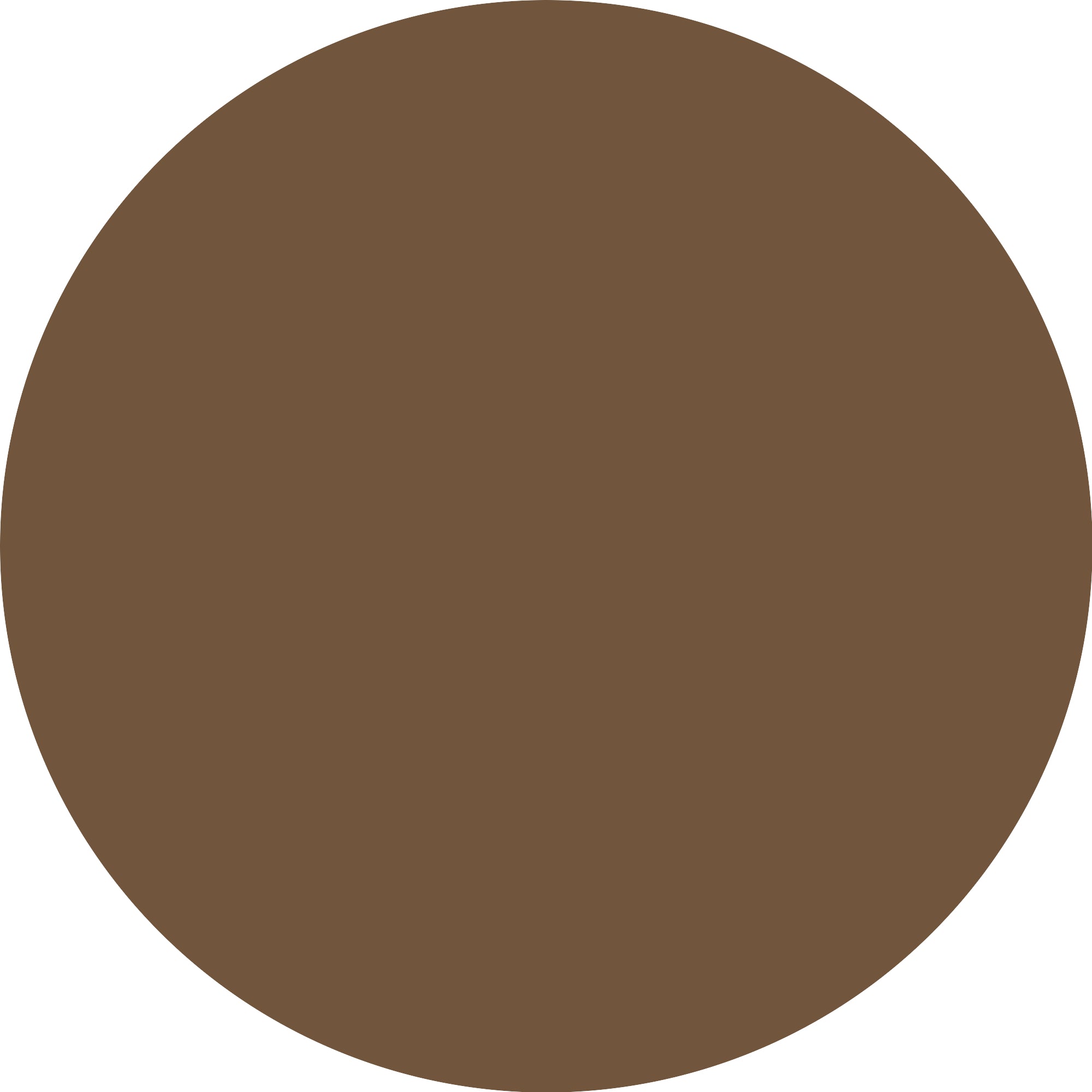 ESSENCE Micro Precise 04 Neutral Brown-3