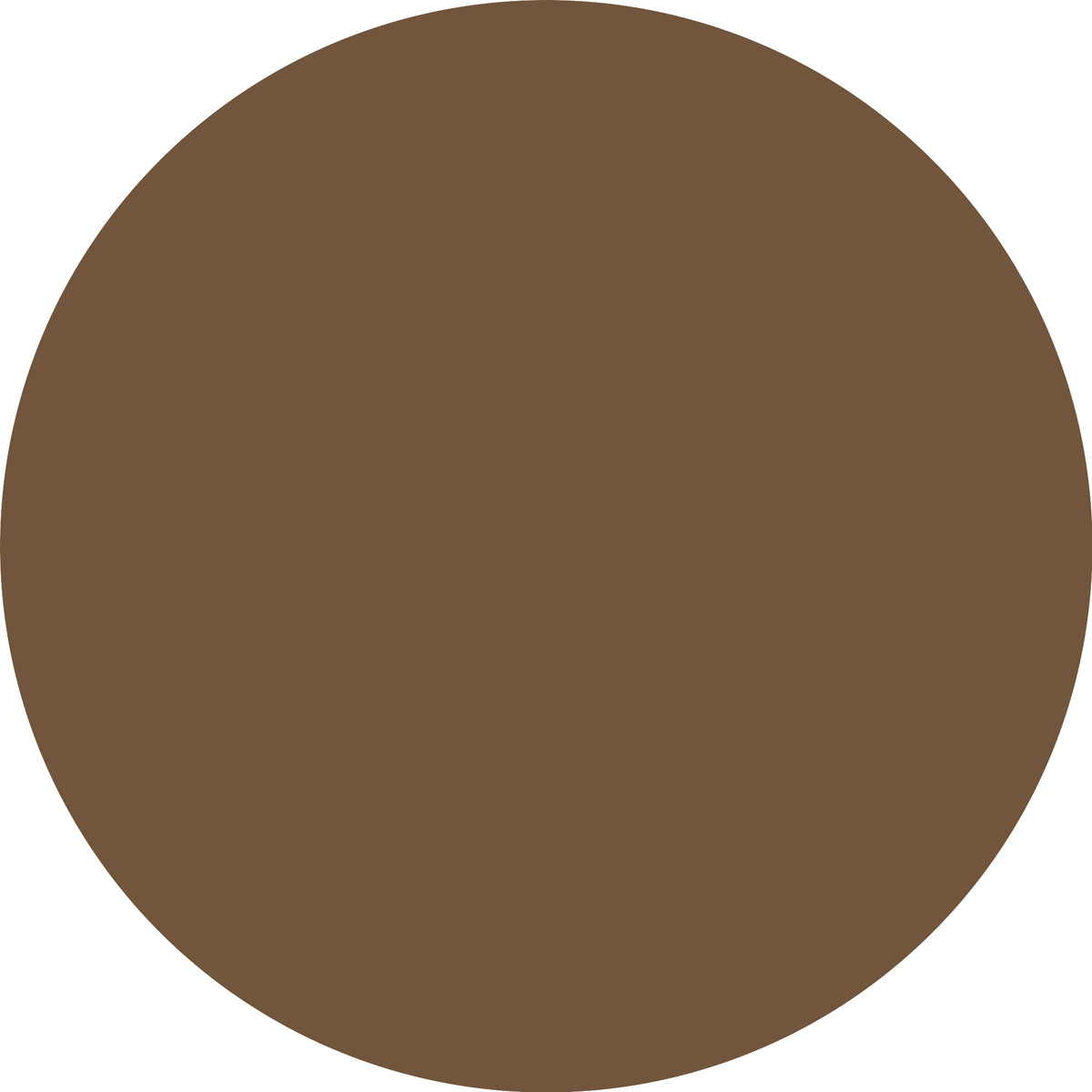 ESSENCE Micro Precise 04 Neutral Brown-3
