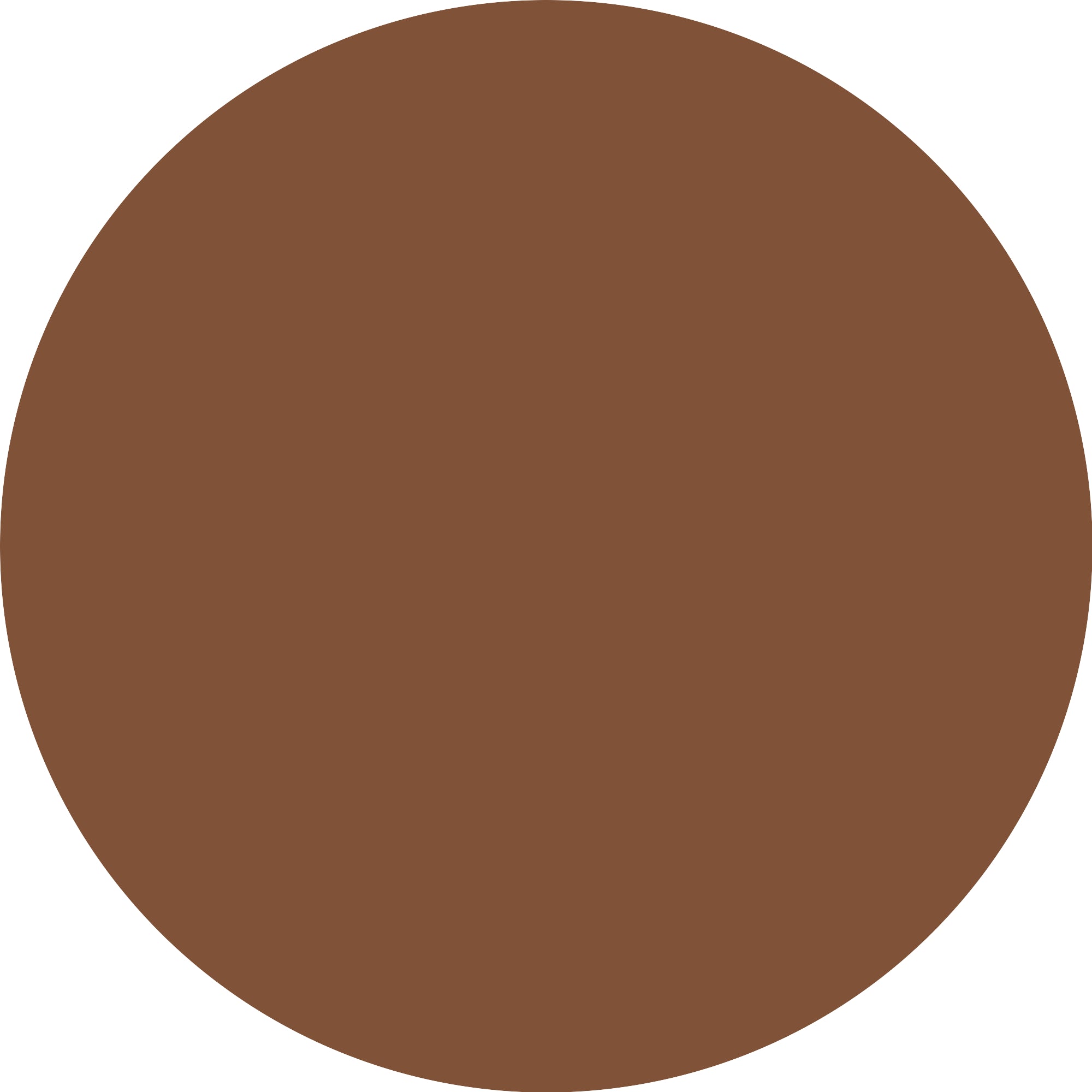 ESSENCE Micro Precise 05 Warm Brown-3