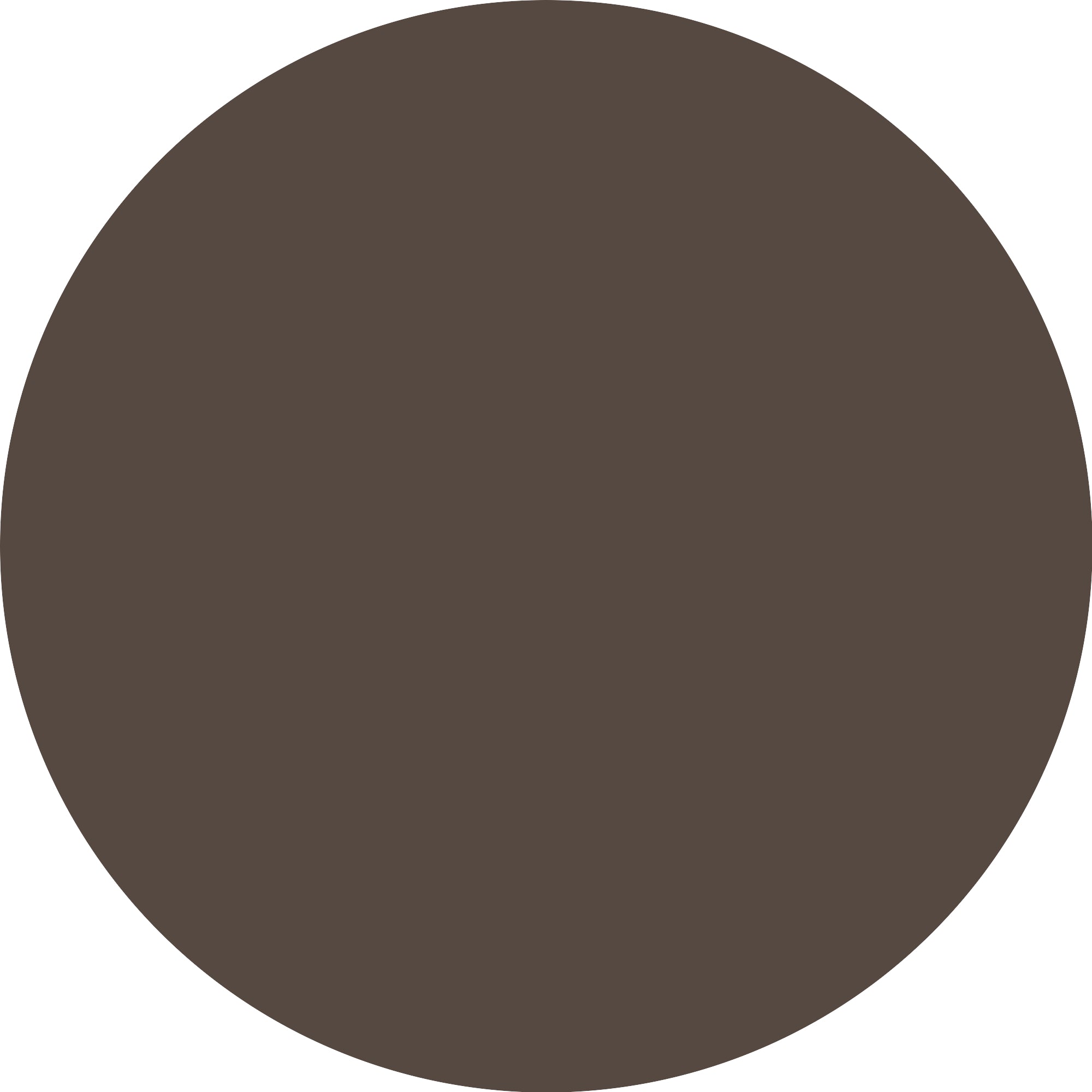 ESSENCE Micro Precise 06 Dark Brown-3
