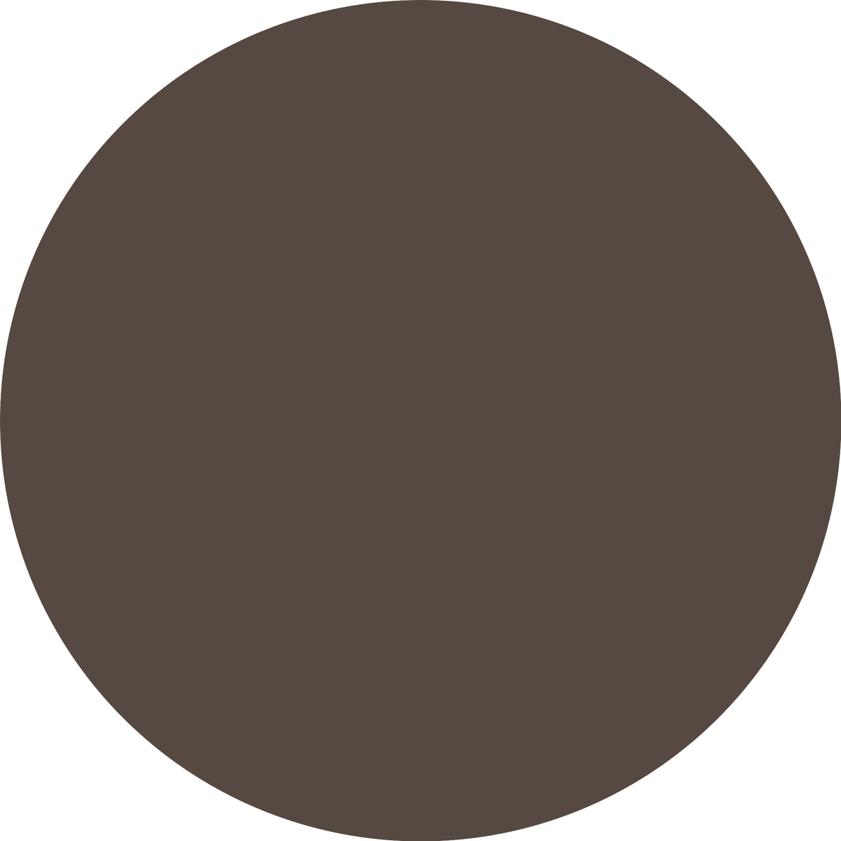 ESSENCE Micro Precise 06 Dark Brown-3