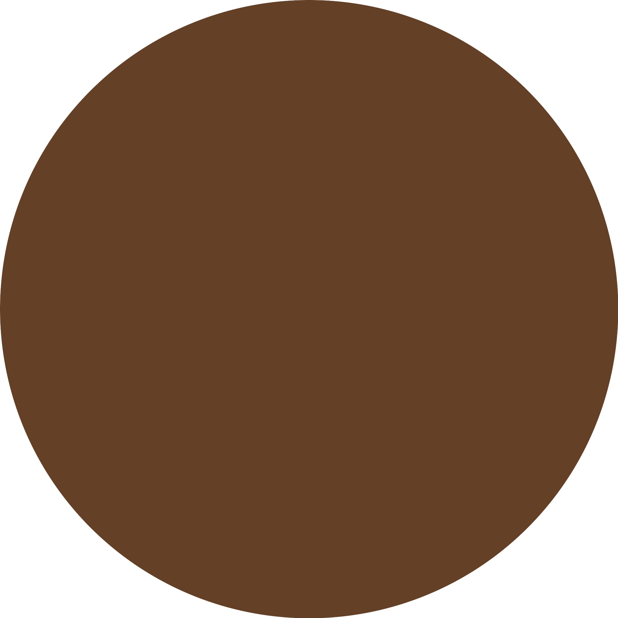 ESSENCE Ombretto Mono Pearly 03 Bronzed Espresso-3
