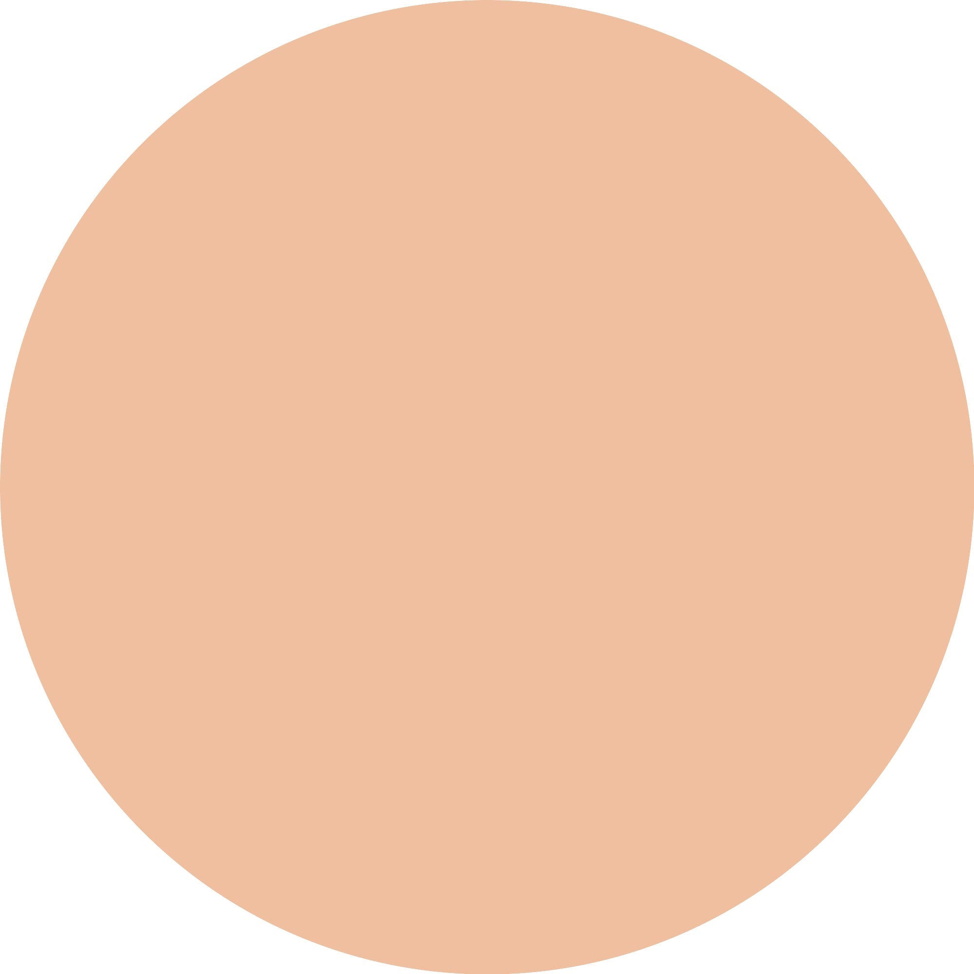 Essence Correct & Conceal 10 Light-3