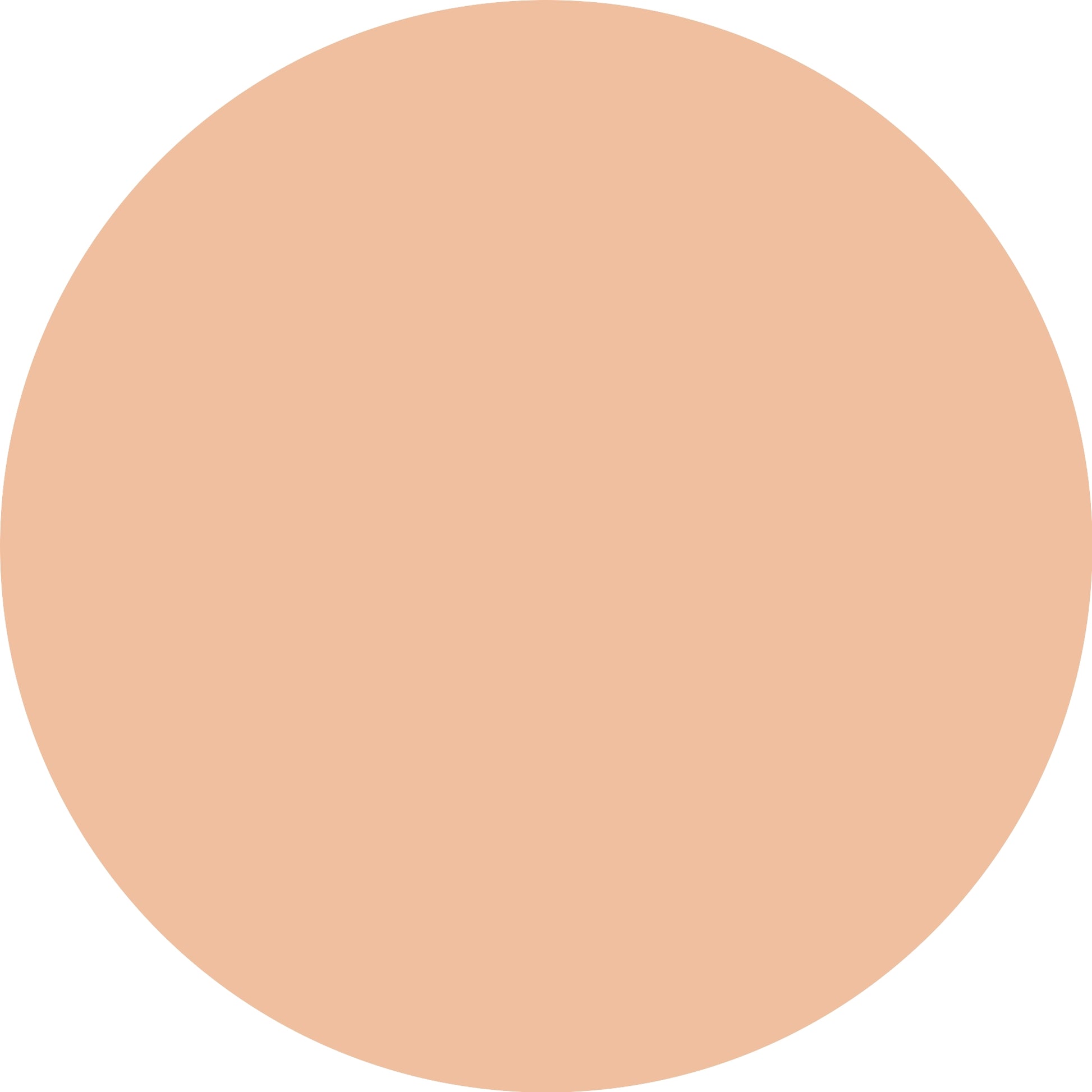 Essence Correct & Conceal 10 Light-3