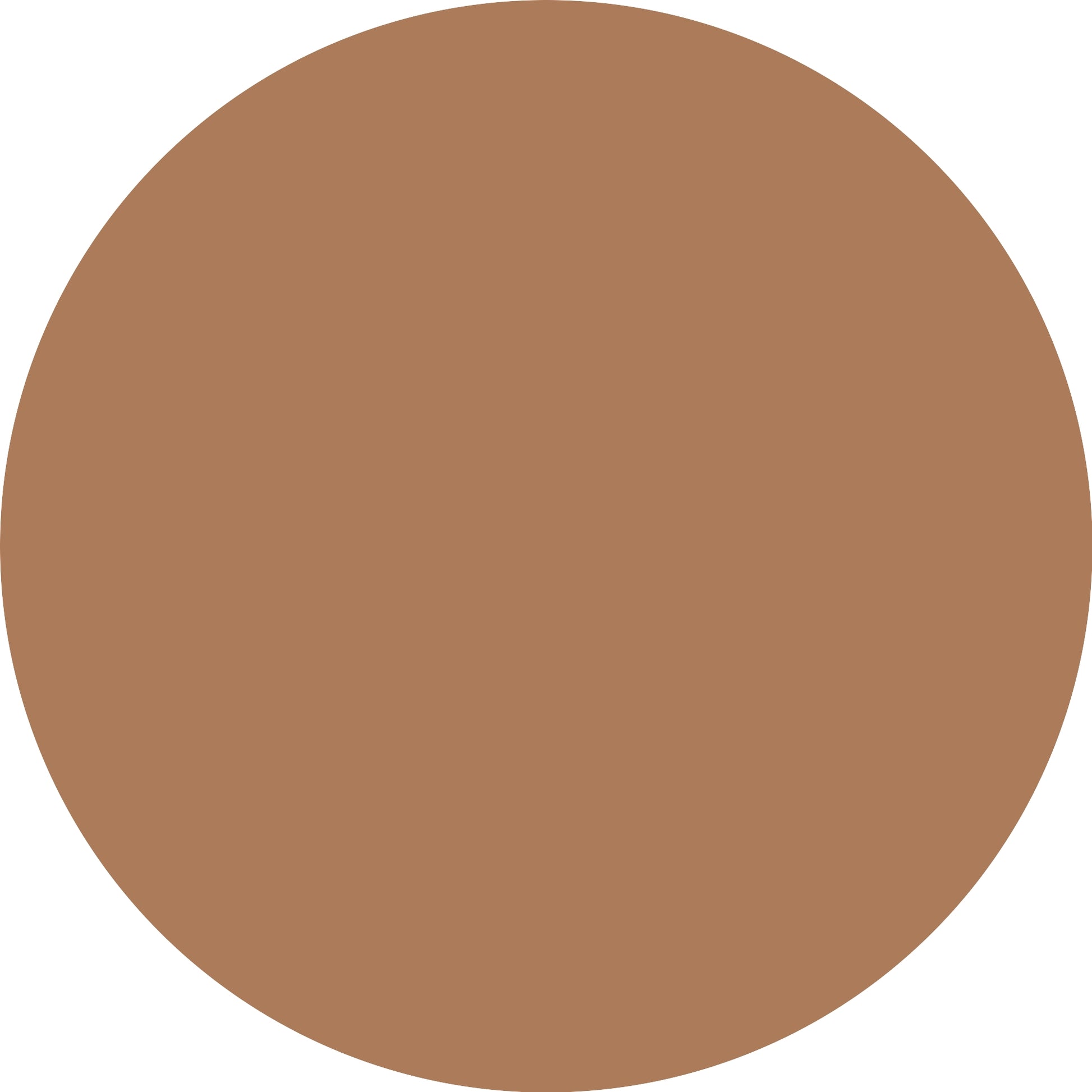 Essence Micro Precise 06 Auburn-3