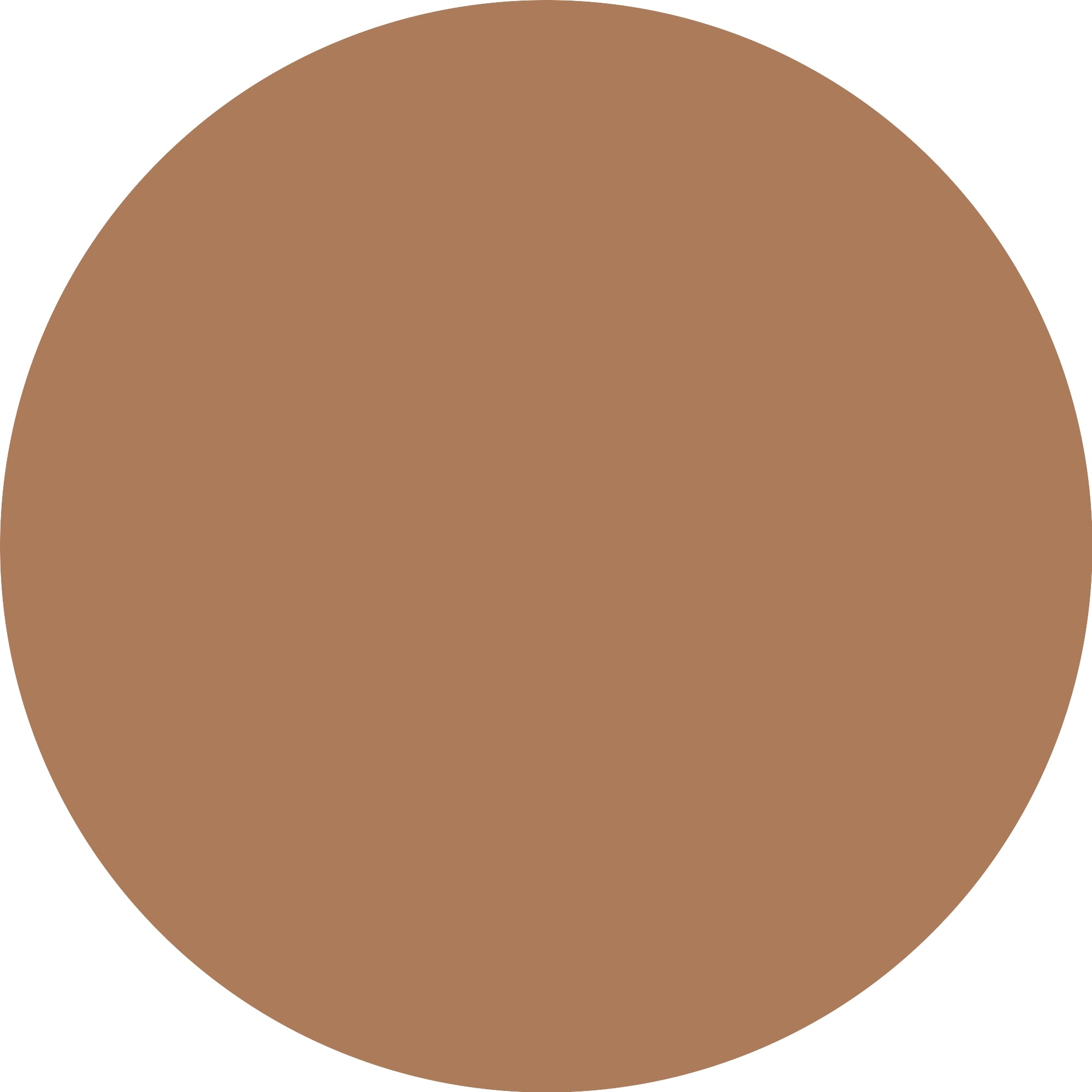 Essence Micro Precise 06 Auburn-3