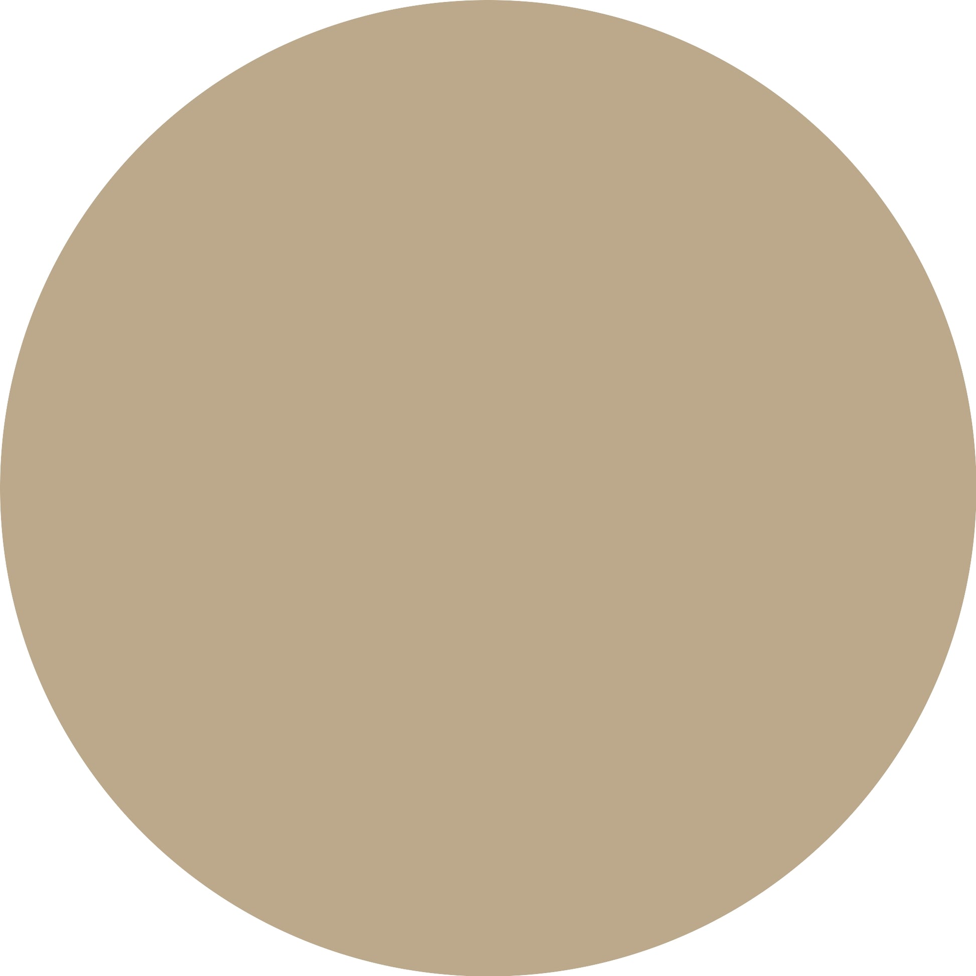 Essence Satin Chrome 01 Robotic Rose-3