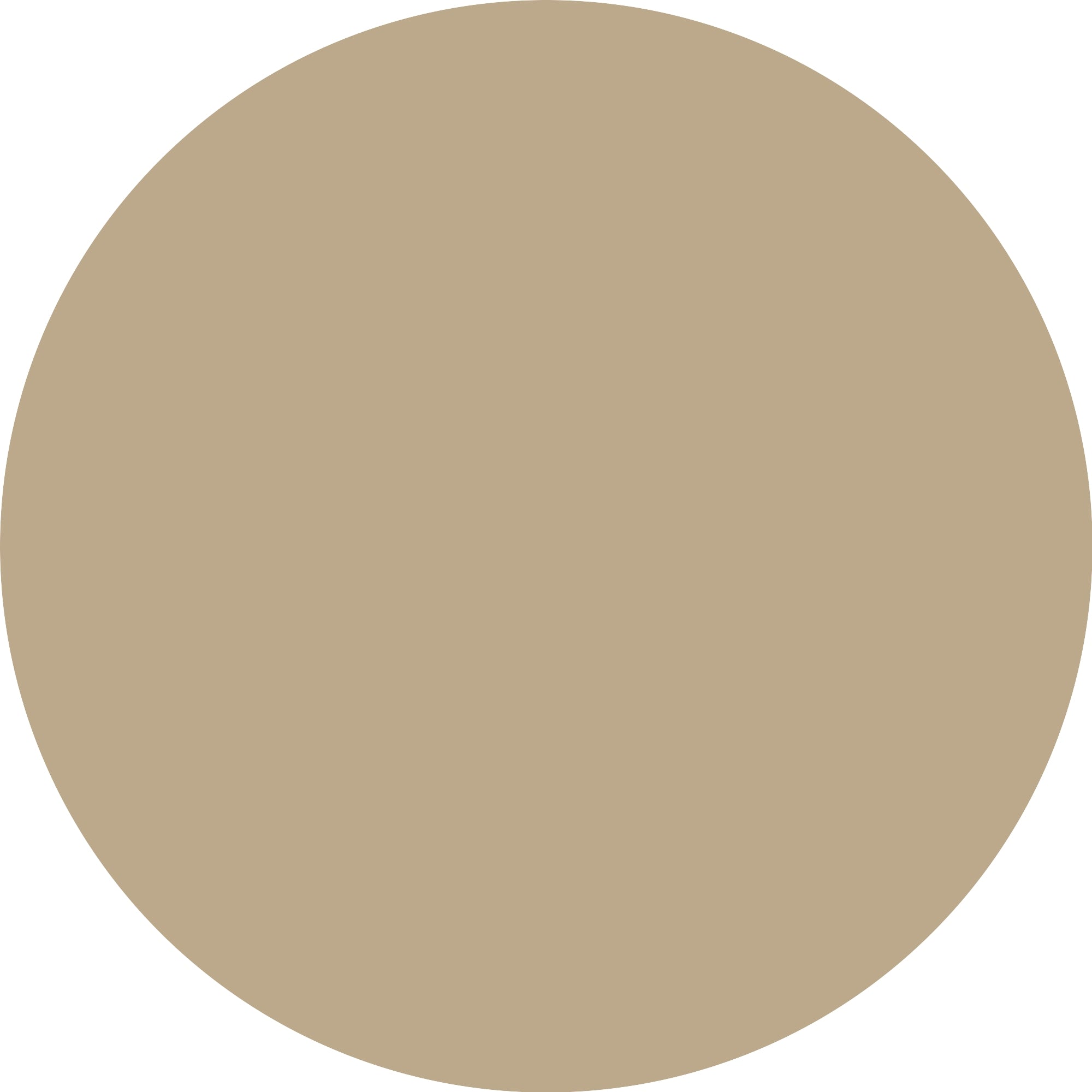 Essence Satin Chrome 01 Robotic Rose-3