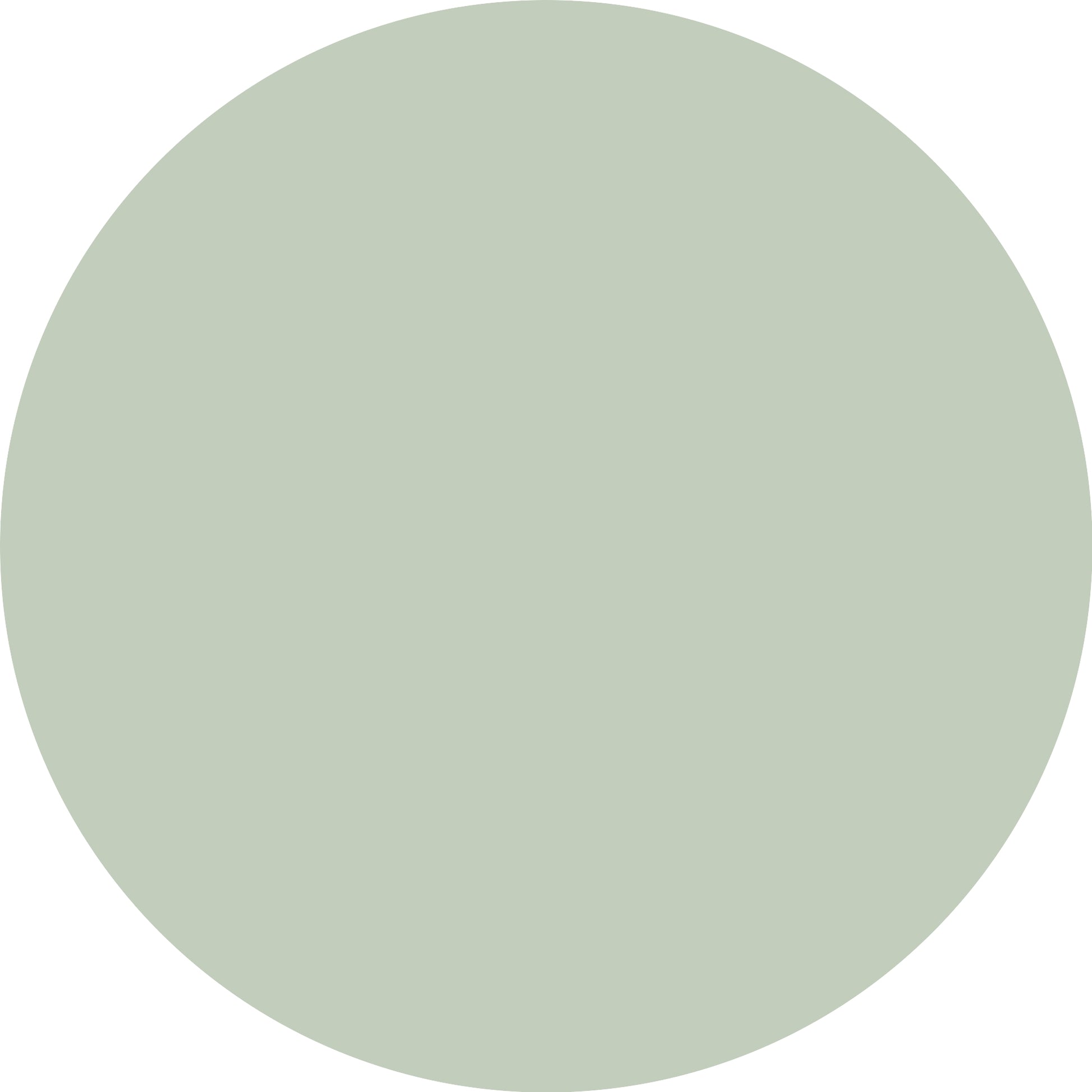 Essence Satin Chrome 04 Steelgpt-3