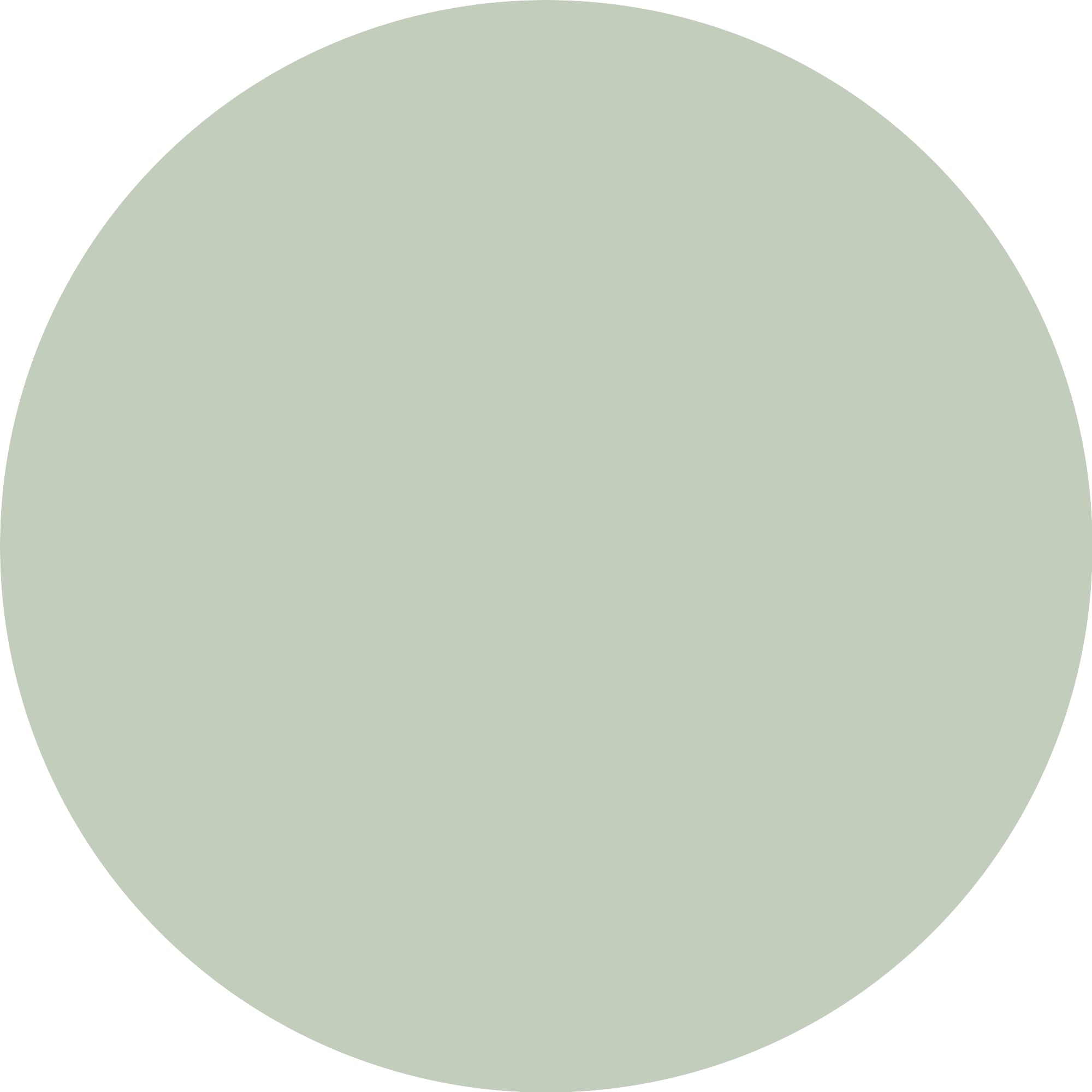Essence Satin Chrome 04 Steelgpt-3