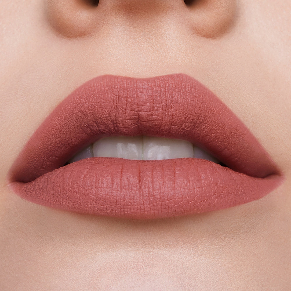 Estee Lauder Pure Color Matte Lipstick 816 Suit Up-2