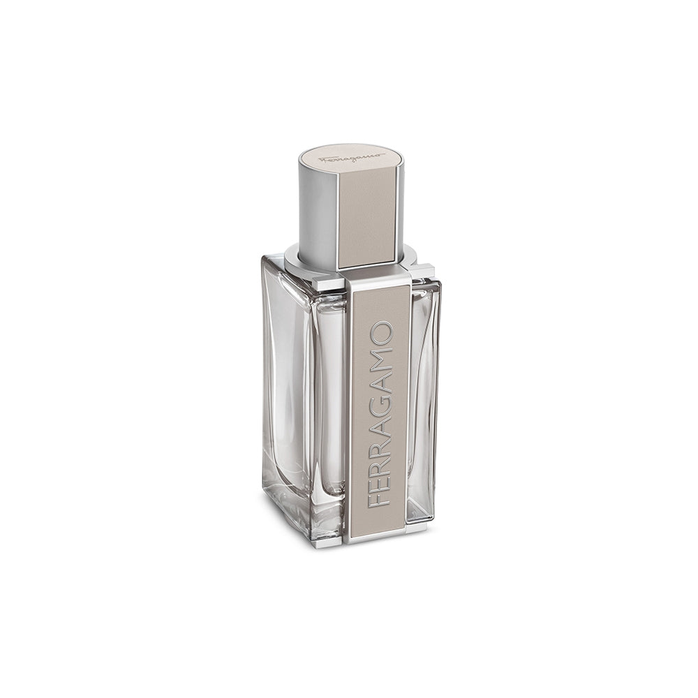 Ferragamo Bright Leather-2