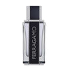 Ferragamo Ferragamo 100 ml
