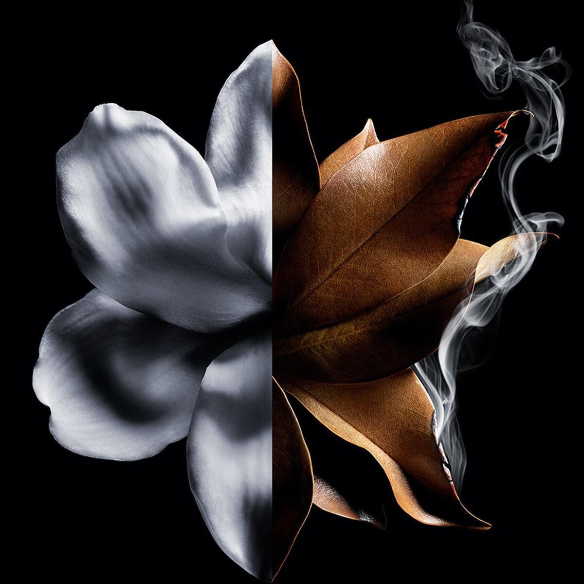 Givenchy L'Interdit Absolou Intense-3