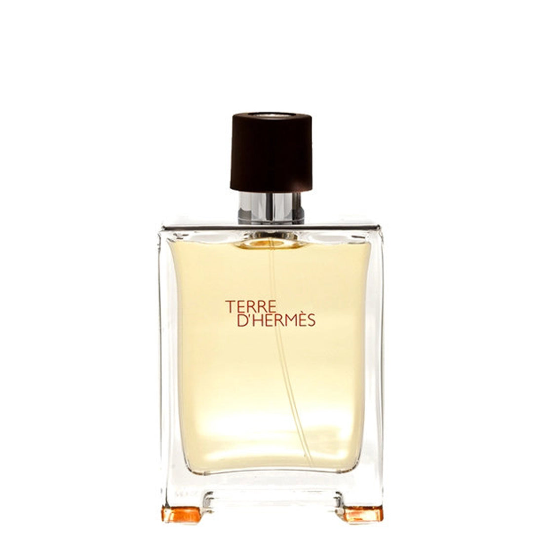 Hermes Terre D'Hermès