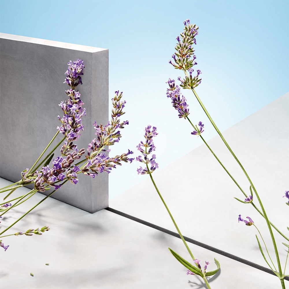 Hugo Boss HUGO MAN-2