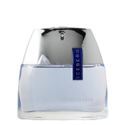 Iceberg Iceberg Effusion Man