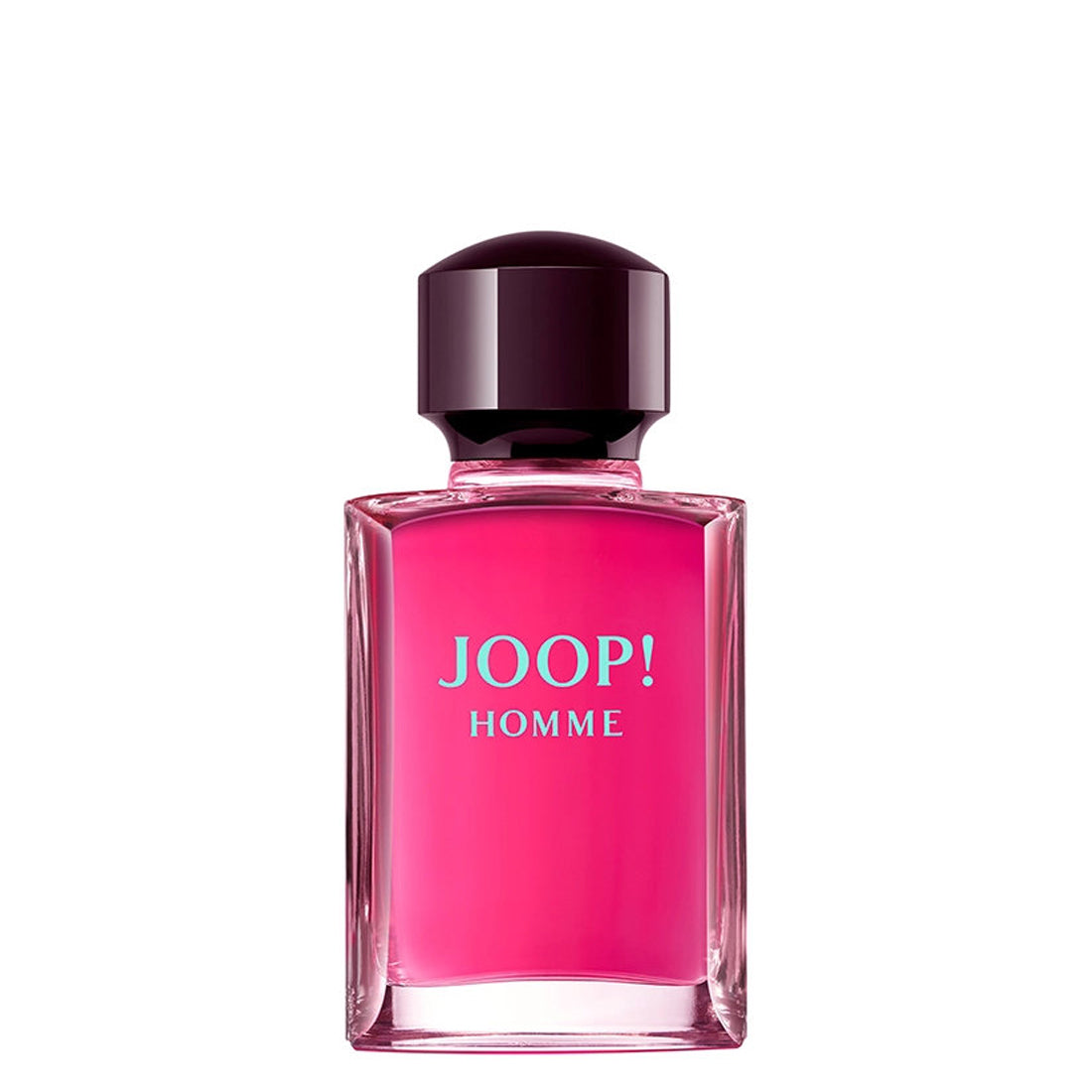 Joop HOMME