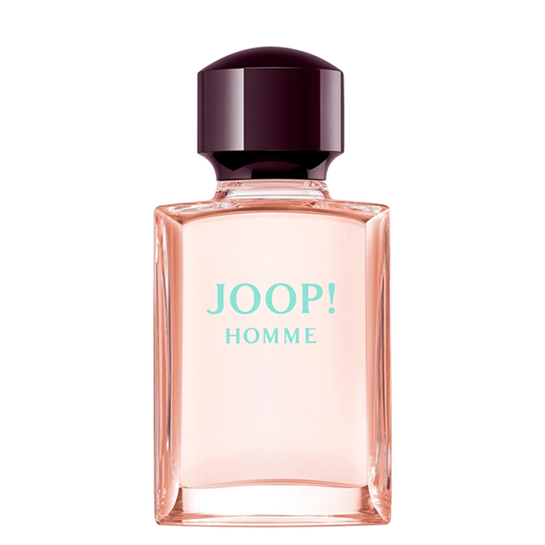 Joop HOMME